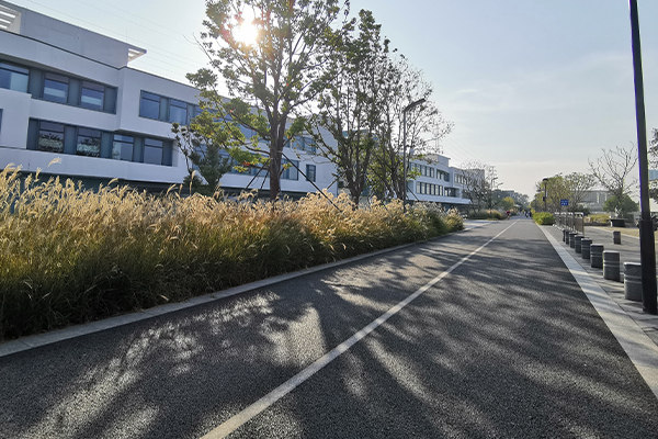 园区道路